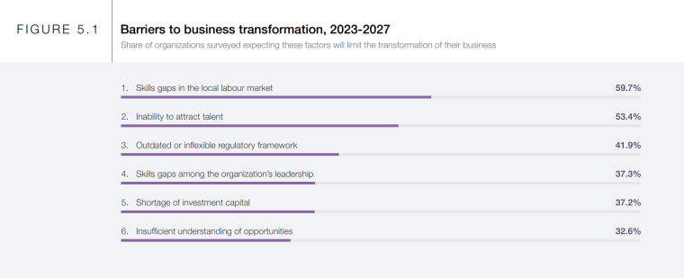 Skills and talent barrier