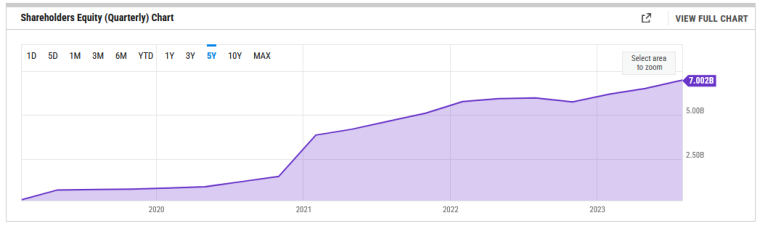 Zoom shareholder equity chart