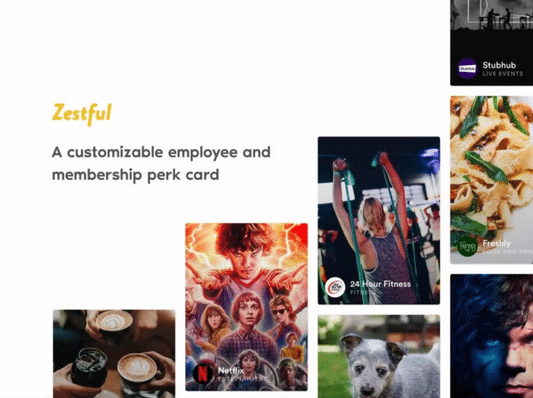 Zestful pitch deck