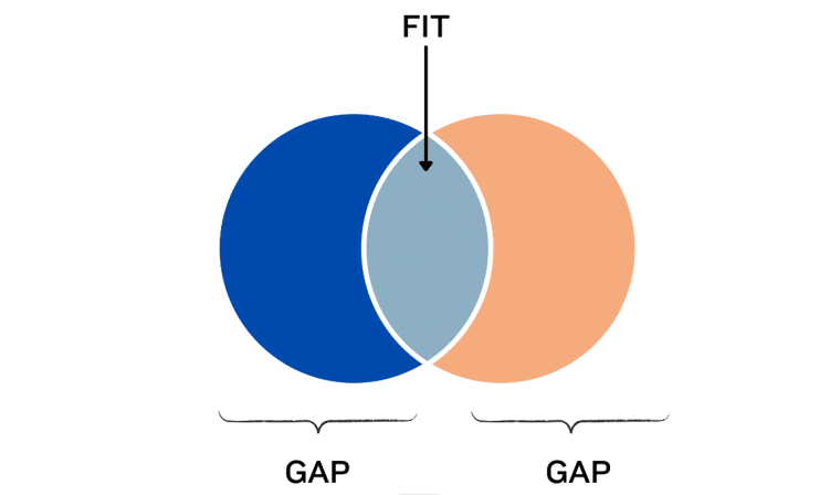 Fit gap analysis