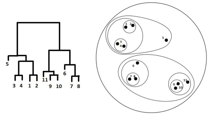 Hierarchical clustering