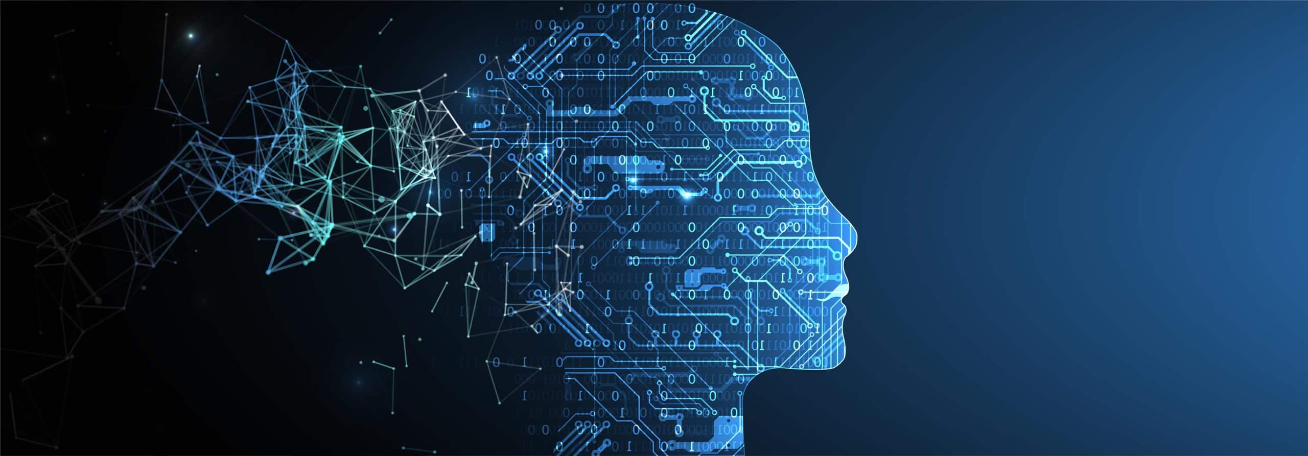 head shape made of circuit designs