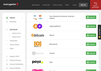 Payment options at Everygame
