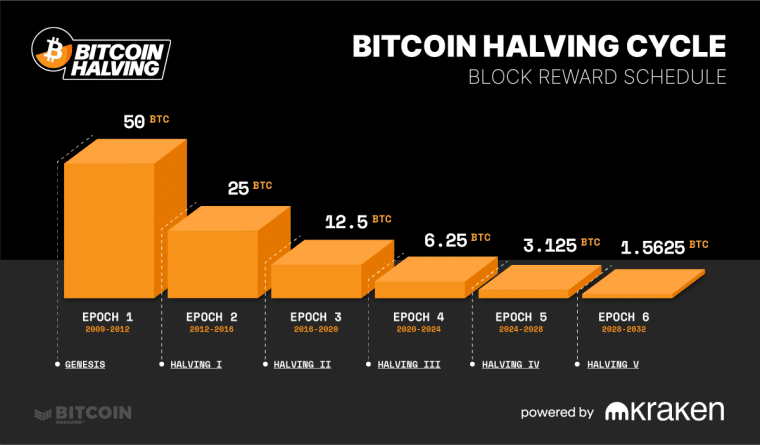 bitcoin halving cuts until epoch 6