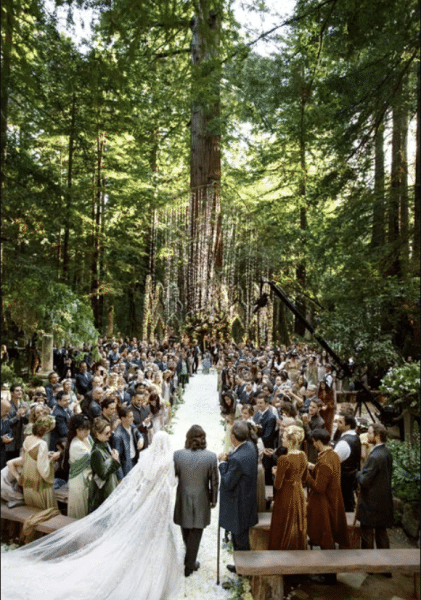 sean parker wedding