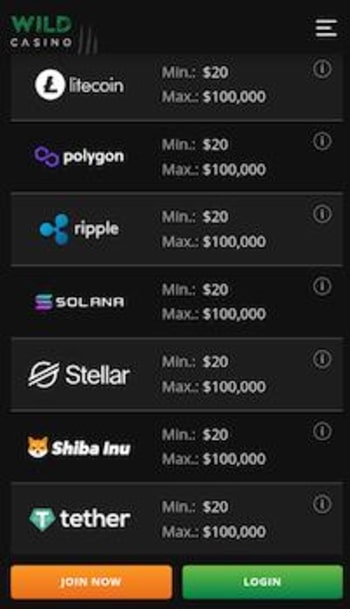 A screenshot showing the option to deposit with Polygon at Wild Casino