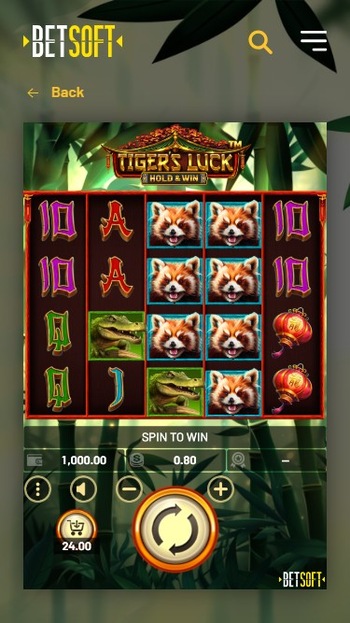 A screenshot showing the Tiger's Luck slot game