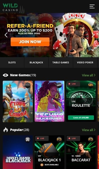 The Wild Casino homepage