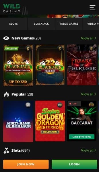 A screenshot showing the Wild Casino homepage