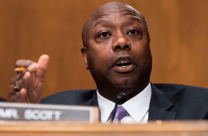 tim scott senator