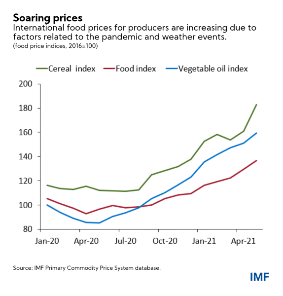 IMF chart on soaring food prices