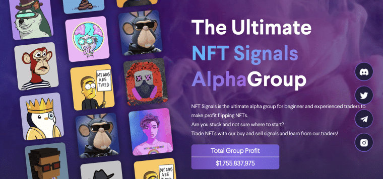 nft signals homepage