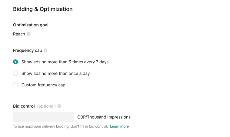 Bidding and optimization in the tiktok ads manager
