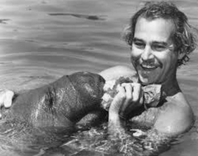 jimmy buffett manatees