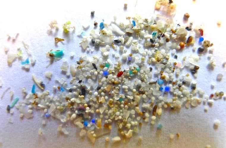 avoiding microplastic exposure is hard as they are virtually everywhere