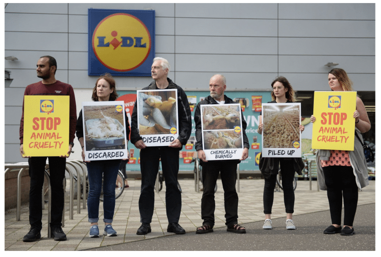 Lidl Protestors