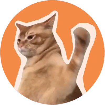 best winter crypto - catslap token