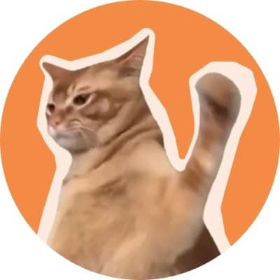 cheapest cryptocurrency - catslap