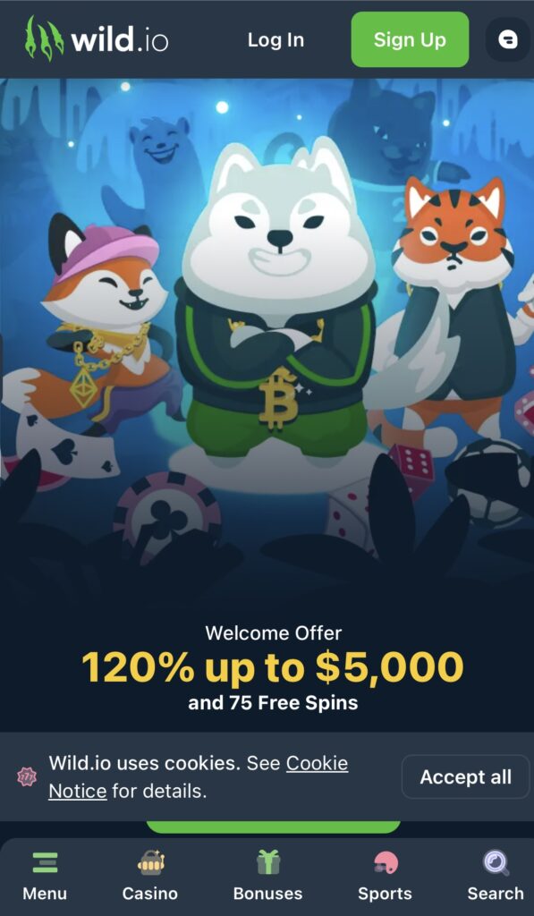 wild.io casino home