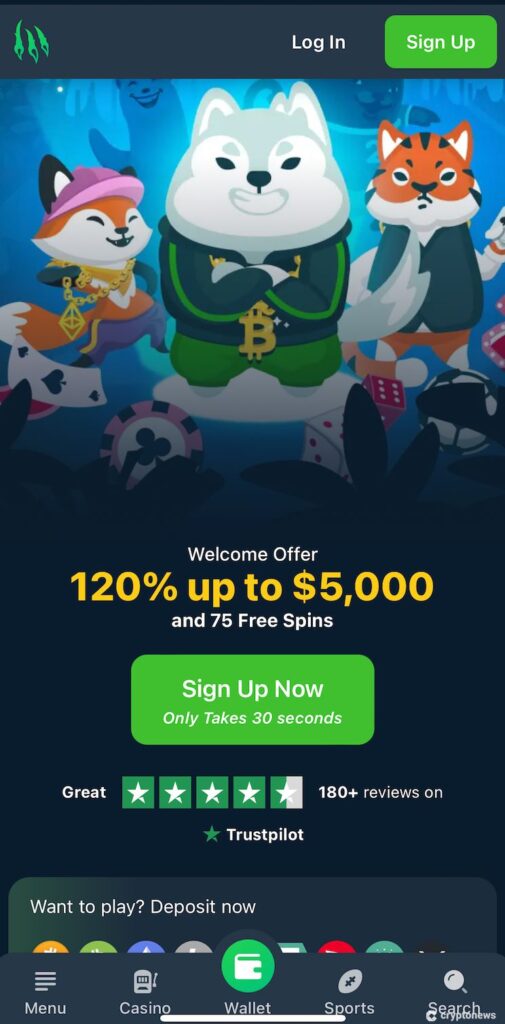 wild.io casino