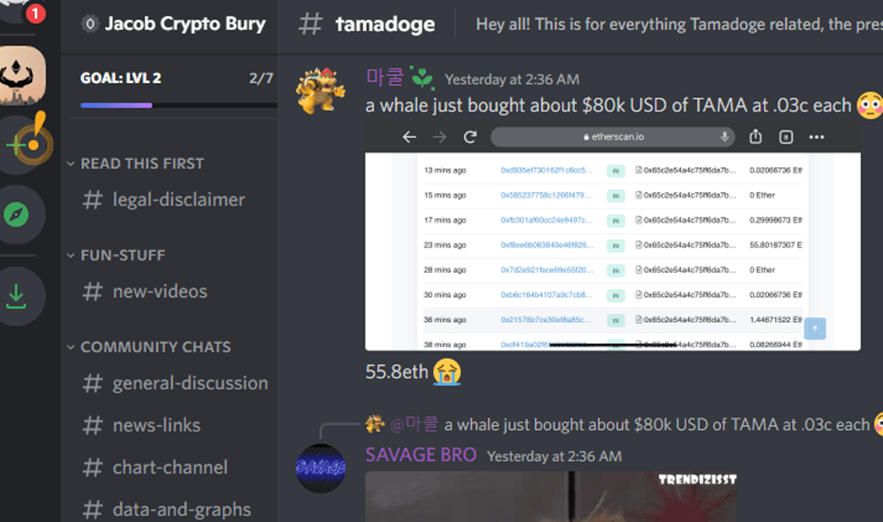 Tamadoge Discord