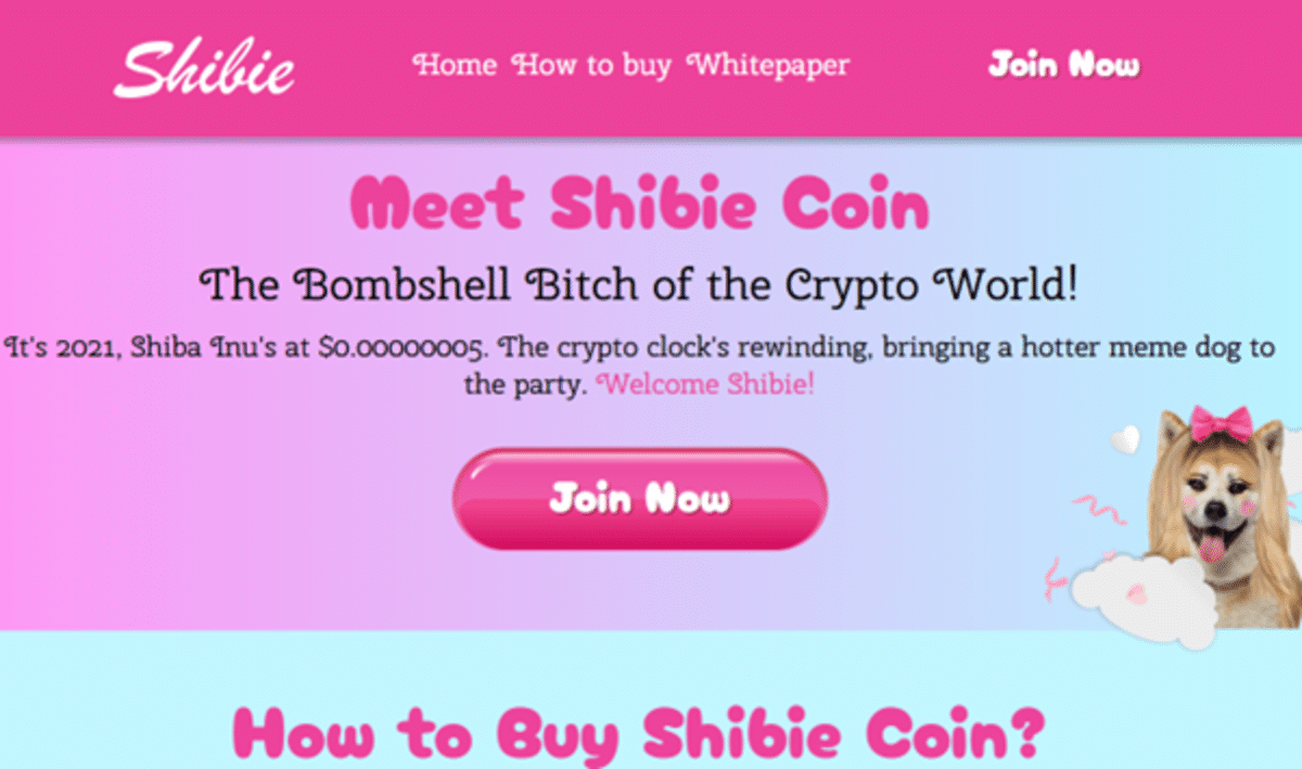 Shibie Coin (SHIBIE)