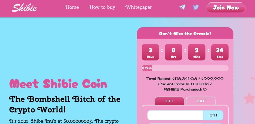 Shibie coin